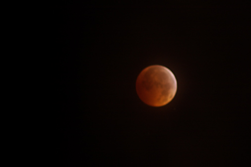 Lunar Eclipse -  New York City, December 21, 2010