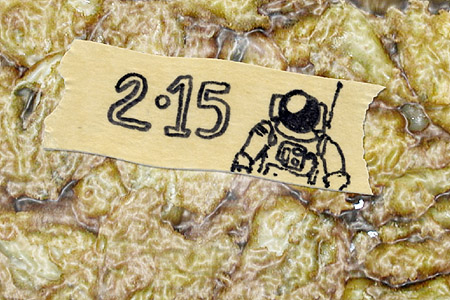 Leftover astronaut food