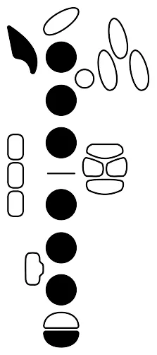 Fingering diagram for C5. Keys pressed: Octave, LH 1 2 3, RH 1 2 3, low C.
