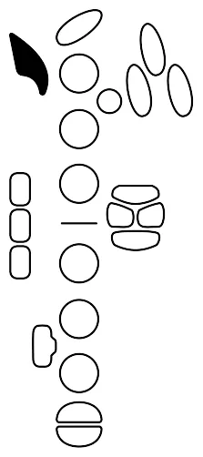 Fingering diagram for G#4. Keys pressed: Octave.